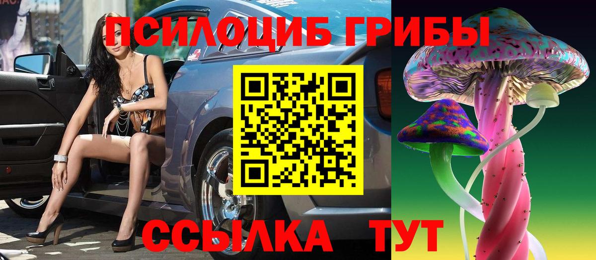 купить закладку  Вход с VPN  Торжок  Псилоцибиновые грибы MAGIC MUSHROOMS 
